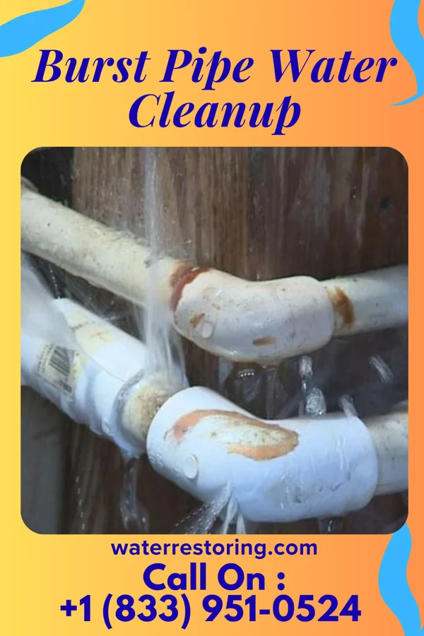 Burst Pipe Water Cleanup in Bolton, VT
