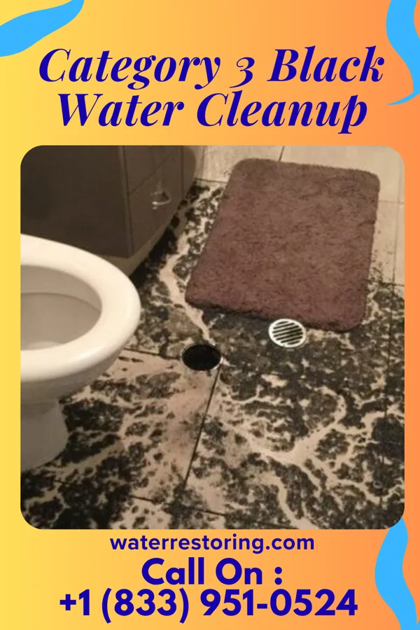 Category 3 Black Water Cleanup in Bolton, VT