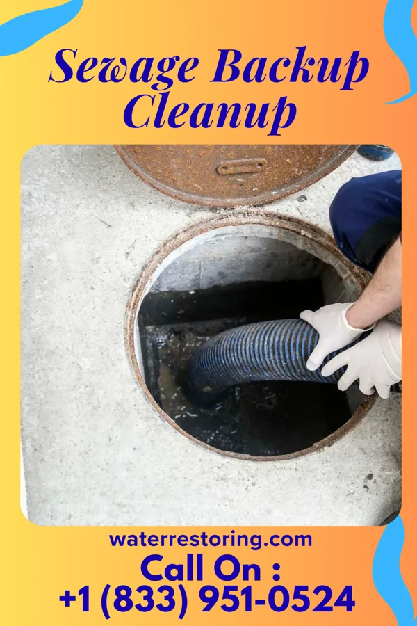 Sewage Backup Cleanup in Bolton, VT
