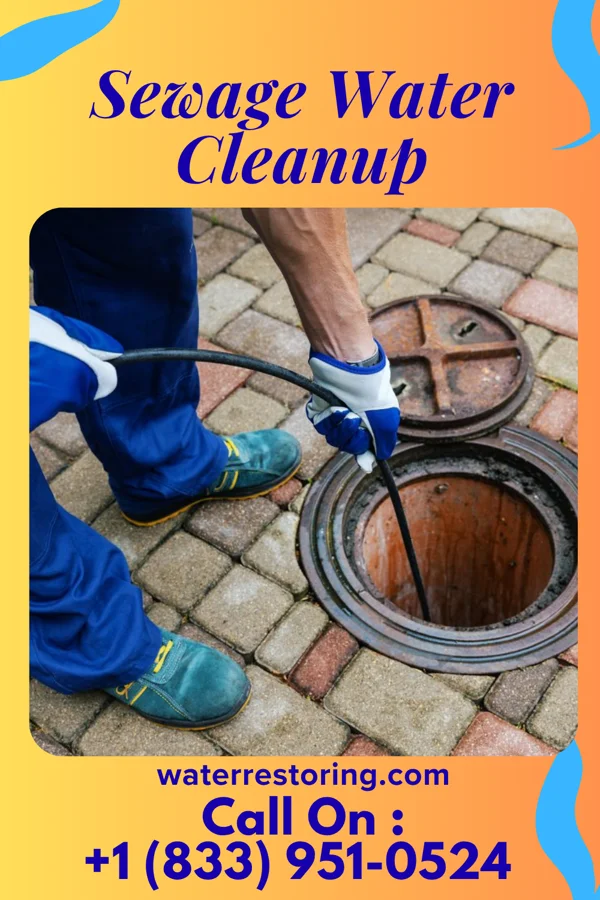 Sewage Water Cleanup in Bolton, VT