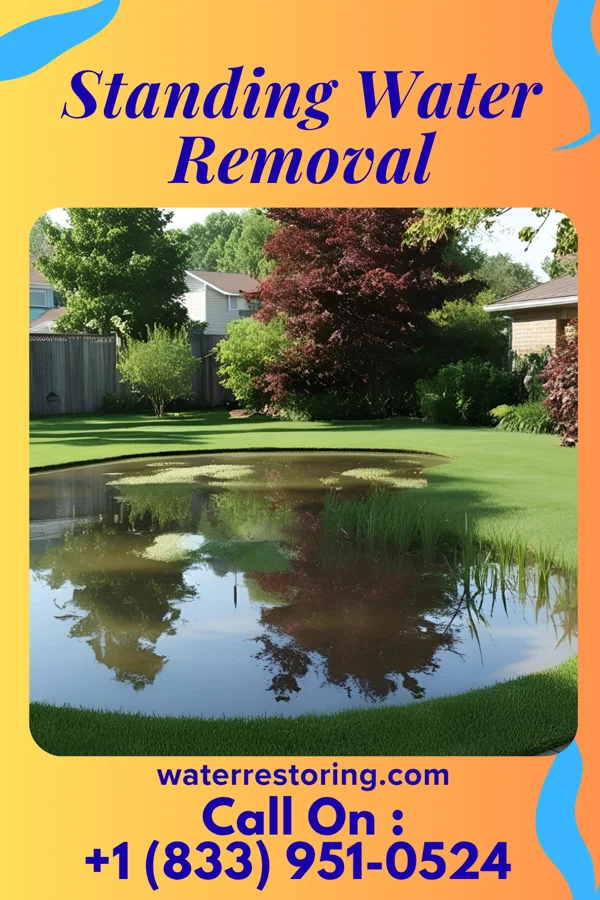 Standing Water Removal in Bolton, VT